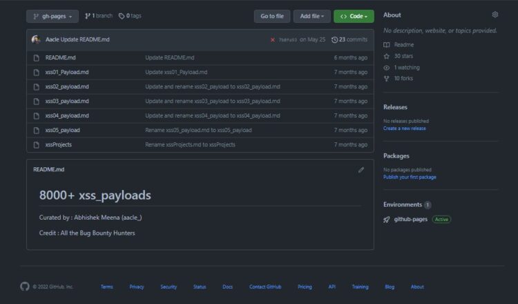 Coleção de Payloads para XSS – Cybersec Spot
